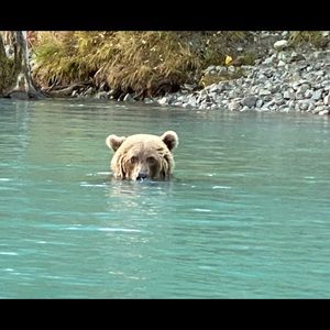 Meet your Posher, Greg